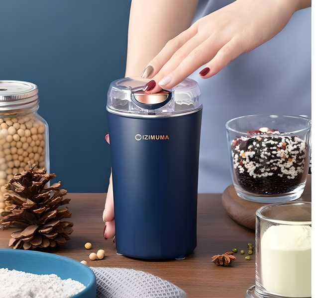 Mini mixer grinder