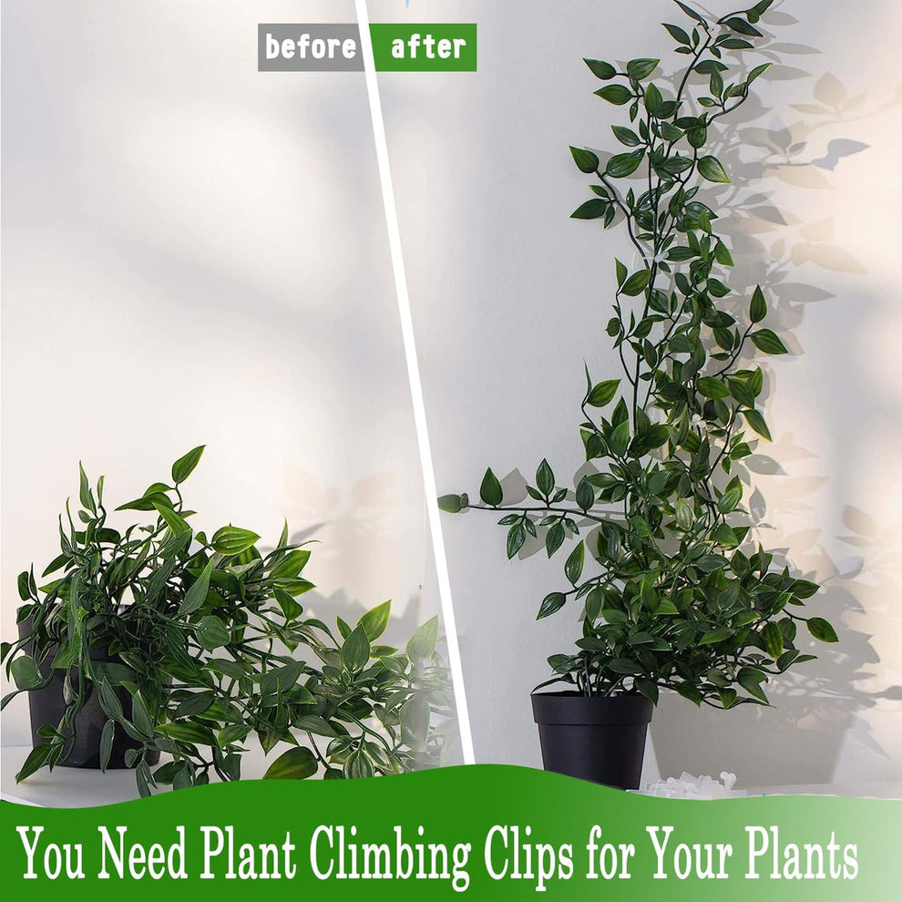 Plant climbing self adhesive clip [60 clips]