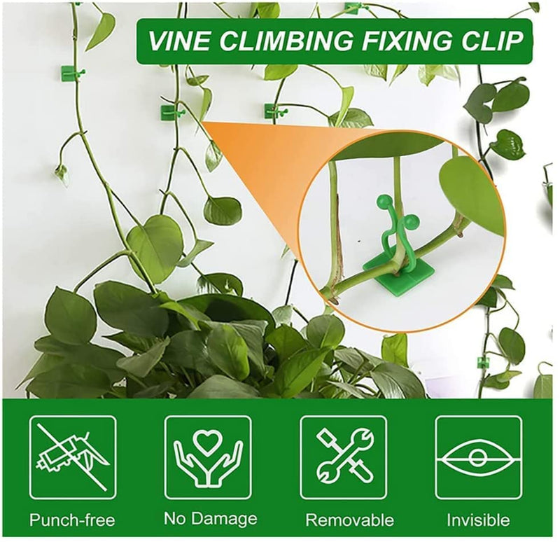 Plant climbing self adhesive clip [60 clips]